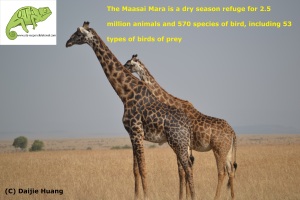 OTA Kenya safaris www.ota-responsibletravel.com