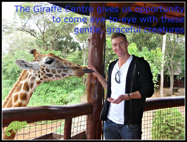 Giraffe Centre, Nairobi; OTA Kenya Safaris www.ota-responsibletravel.com