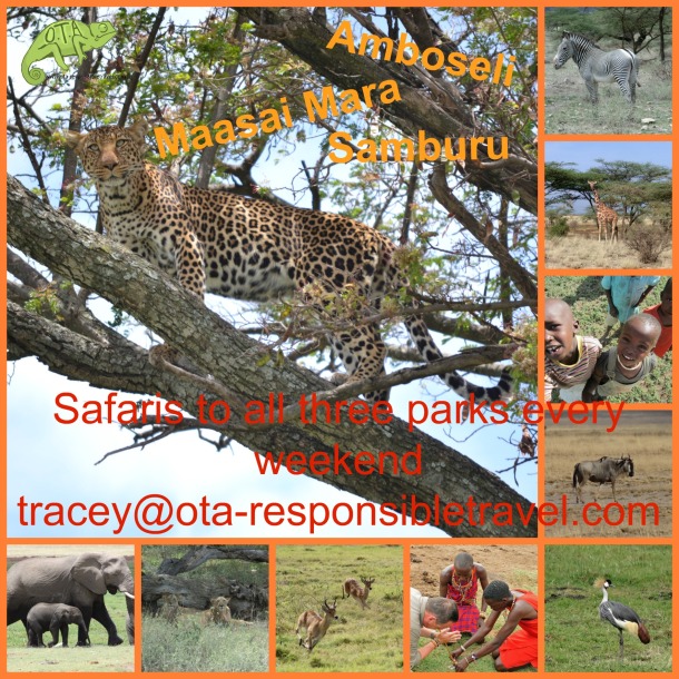OTA's weekend trips to Maasai Mara, Amboseli and Samburu www.ota-responsibletravel.com